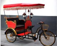 2 Passenger Model Solar Electric Rickshaw